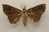  ( - 19-SRNP-27211)  @11 [ ] CreativeCommons  Attribution Non-Commercial Share-Alike (2023) Daniel H. Janzen Guanacaste Dry Forest Conservation Fund