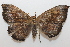 ( - 19-SRNP-28227)  @11 [ ] CreativeCommons  Attribution Non-Commercial Share-Alike (2023) Daniel H. Janzen Guanacaste Dry Forest Conservation Fund