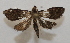 ( - 19-SRNP-30469)  @11 [ ] CreativeCommons  Attribution Non-Commercial Share-Alike (2023) Daniel H. Janzen Guanacaste Dry Forest Conservation Fund