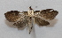  ( - 19-SRNP-30469)  @11 [ ] CreativeCommons  Attribution Non-Commercial Share-Alike (2023) Daniel H. Janzen Guanacaste Dry Forest Conservation Fund