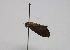  ( - 19-SRNP-45011)  @11 [ ] CreativeCommons  Attribution Non-Commercial Share-Alike (2023) Daniel H. Janzen Guanacaste Dry Forest Conservation Fund