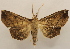  ( - 19-SRNP-45055)  @11 [ ] CreativeCommons  Attribution Non-Commercial Share-Alike (2023) Daniel H. Janzen Guanacaste Dry Forest Conservation Fund