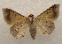  ( - 19-SRNP-45619)  @11 [ ] CreativeCommons  Attribution Non-Commercial Share-Alike (2023) Daniel H. Janzen Guanacaste Dry Forest Conservation Fund