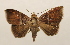  ( - 19-SRNP-65147)  @11 [ ] CreativeCommons  Attribution Non-Commercial Share-Alike (2023) Daniel H. Janzen Guanacaste Dry Forest Conservation Fund