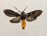 ( - 19-SRNP-65297)  @11 [ ] CreativeCommons  Attribution Non-Commercial Share-Alike (2023) Daniel H. Janzen Guanacaste Dry Forest Conservation Fund