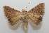  ( - 19-SRNP-65308)  @11 [ ] CreativeCommons  Attribution Non-Commercial Share-Alike (2023) Daniel H. Janzen Guanacaste Dry Forest Conservation Fund