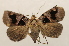  ( - 19-SRNP-70909)  @11 [ ] CreativeCommons  Attribution Non-Commercial Share-Alike (2023) Daniel H. Janzen Guanacaste Dry Forest Conservation Fund