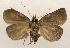  ( - 19-SRNP-70909)  @11 [ ] CreativeCommons  Attribution Non-Commercial Share-Alike (2023) Daniel H. Janzen Guanacaste Dry Forest Conservation Fund