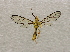  ( - 19-SRNP-70910)  @11 [ ] CreativeCommons  Attribution Non-Commercial Share-Alike (2023) Daniel H. Janzen Guanacaste Dry Forest Conservation Fund