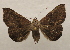  ( - 19-SRNP-70913)  @11 [ ] CreativeCommons  Attribution Non-Commercial Share-Alike (2023) Daniel H. Janzen Guanacaste Dry Forest Conservation Fund