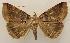  ( - 19-SRNP-75545)  @11 [ ] CreativeCommons  Attribution Non-Commercial Share-Alike (2023) Daniel H. Janzen Guanacaste Dry Forest Conservation Fund