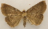  ( - 19-SRNP-75545)  @11 [ ] CreativeCommons  Attribution Non-Commercial Share-Alike (2023) Daniel H. Janzen Guanacaste Dry Forest Conservation Fund