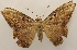  ( - 19-SRNP-852)  @11 [ ] CreativeCommons  Attribution Non-Commercial Share-Alike (2023) Daniel H. Janzen Guanacaste Dry Forest Conservation Fund