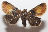 ( - 20-SRNP-101587)  @11 [ ] CreativeCommons  Attribution Non-Commercial Share-Alike (2023) Daniel H. Janzen Guanacaste Dry Forest Conservation Fund