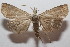  ( - 20-SRNP-101602)  @11 [ ] CreativeCommons  Attribution Non-Commercial Share-Alike (2023) Daniel H. Janzen Guanacaste Dry Forest Conservation Fund