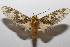  ( - 20-SRNP-102038)  @11 [ ] CreativeCommons  Attribution Non-Commercial Share-Alike (2023) Daniel H. Janzen Guanacaste Dry Forest Conservation Fund
