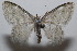  ( - 20-SRNP-102098)  @11 [ ] CreativeCommons  Attribution Non-Commercial Share-Alike (2023) Daniel H. Janzen Guanacaste Dry Forest Conservation Fund