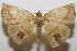  ( - 20-SRNP-102168)  @11 [ ] CreativeCommons  Attribution Non-Commercial Share-Alike (2023) Daniel H. Janzen Guanacaste Dry Forest Conservation Fund