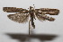  ( - 20-SRNP-102391)  @11 [ ] CreativeCommons  Attribution Non-Commercial Share-Alike (2023) Daniel H. Janzen Guanacaste Dry Forest Conservation Fund