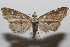  ( - 20-SRNP-102401)  @11 [ ] CreativeCommons  Attribution Non-Commercial Share-Alike (2023) Daniel H. Janzen Guanacaste Dry Forest Conservation Fund