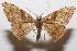  ( - 20-SRNP-102899)  @11 [ ] CreativeCommons  Attribution Non-Commercial Share-Alike (2023) Daniel H. Janzen Guanacaste Dry Forest Conservation Fund