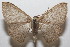  ( - 20-SRNP-102927)  @11 [ ] CreativeCommons  Attribution Non-Commercial Share-Alike (2023) Daniel H. Janzen Guanacaste Dry Forest Conservation Fund