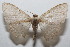  ( - 20-SRNP-102929)  @11 [ ] CreativeCommons  Attribution Non-Commercial Share-Alike (2023) Daniel H. Janzen Guanacaste Dry Forest Conservation Fund