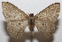  ( - 20-SRNP-102930)  @11 [ ] CreativeCommons  Attribution Non-Commercial Share-Alike (2023) Daniel H. Janzen Guanacaste Dry Forest Conservation Fund