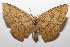  ( - 20-SRNP-103350)  @11 [ ] CreativeCommons  Attribution Non-Commercial Share-Alike (2023) Daniel H. Janzen Guanacaste Dry Forest Conservation Fund