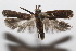  ( - 20-SRNP-103521)  @11 [ ] CreativeCommons  Attribution Non-Commercial Share-Alike (2023) Daniel H. Janzen Guanacaste Dry Forest Conservation Fund
