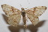  ( - 20-SRNP-103991)  @11 [ ] CreativeCommons  Attribution Non-Commercial Share-Alike (2023) Daniel H. Janzen Guanacaste Dry Forest Conservation Fund