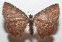  ( - 20-SRNP-104148)  @11 [ ] CreativeCommons  Attribution Non-Commercial Share-Alike (2023) Daniel H. Janzen Guanacaste Dry Forest Conservation Fund