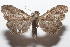  ( - 20-SRNP-104399)  @11 [ ] CreativeCommons  Attribution Non-Commercial Share-Alike (2023) Daniel H. Janzen Guanacaste Dry Forest Conservation Fund
