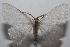  ( - 20-SRNP-104594)  @11 [ ] CreativeCommons  Attribution Non-Commercial Share-Alike (2023) Daniel H. Janzen Guanacaste Dry Forest Conservation Fund