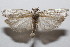  ( - 20-SRNP-104687)  @11 [ ] CreativeCommons  Attribution Non-Commercial Share-Alike (2023) Daniel H. Janzen Guanacaste Dry Forest Conservation Fund