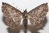  ( - 20-SRNP-104977)  @11 [ ] CreativeCommons  Attribution Non-Commercial Share-Alike (2023) Daniel H. Janzen Guanacaste Dry Forest Conservation Fund