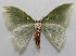  ( - 20-SRNP-1110)  @11 [ ] CreativeCommons  Attribution Non-Commercial Share-Alike (2023) Daniel H. Janzen Guanacaste Dry Forest Conservation Fund
