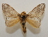  ( - 20-SRNP-27359)  @11 [ ] CreativeCommons  Attribution Non-Commercial Share-Alike (2023) Daniel H. Janzen Guanacaste Dry Forest Conservation Fund