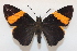 ( - 20-SRNP-30266)  @11 [ ] CreativeCommons  Attribution Non-Commercial Share-Alike (2023) Daniel H. Janzen Guanacaste Dry Forest Conservation Fund