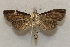  ( - 20-SRNP-30410)  @11 [ ] CreativeCommons  Attribution Non-Commercial Share-Alike (2023) Daniel H. Janzen Guanacaste Dry Forest Conservation Fund
