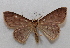  ( - 20-SRNP-30991)  @11 [ ] CreativeCommons  Attribution Non-Commercial Share-Alike (2023) Daniel H. Janzen Guanacaste Dry Forest Conservation Fund