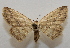  ( - 20-SRNP-41404)  @11 [ ] CreativeCommons  Attribution Non-Commercial Share-Alike (2023) Daniel H. Janzen Guanacaste Dry Forest Conservation Fund