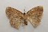  ( - 20-SRNP-56710)  @11 [ ] CreativeCommons  Attribution Non-Commercial Share-Alike (2023) Daniel H. Janzen Guanacaste Dry Forest Conservation Fund