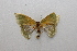  ( - 20-SRNP-598)  @11 [ ] CreativeCommons  Attribution Non-Commercial Share-Alike (2023) Daniel H. Janzen Guanacaste Dry Forest Conservation Fund