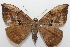  ( - 20-SRNP-80643)  @11 [ ] CreativeCommons  Attribution Non-Commercial Share-Alike (2023) Daniel H. Janzen Guanacaste Dry Forest Conservation Fund