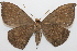  ( - 20-SRNP-80643)  @11 [ ] CreativeCommons  Attribution Non-Commercial Share-Alike (2023) Daniel H. Janzen Guanacaste Dry Forest Conservation Fund
