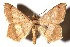  ( - 97-SRNP-90)  @11 [ ] CreativeCommons  Attribution Non-Commercial Share-Alike (2019) Daniel H. Janzen Guanacaste Dry Forest Conservation Fund