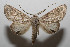  ( - 08-SRNP-105127)  @14 [ ] CreativeCommons - Attribution Non-Commercial Share-Alike (2013) Daniel H. Janzen Guanacaste Dry Forest Conservation Fund