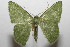  ( - 08-SRNP-105270)  @15 [ ] CreativeCommons - Attribution Non-Commercial Share-Alike (2013) Daniel H. Janzen Guanacaste Dry Forest Conservation Fund