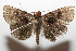  ( - 08-SRNP-105323)  @11 [ ] CreativeCommons - Attribution Non-Commercial Share-Alike (2013) Daniel H. Janzen Guanacaste Dry Forest Conservation Fund